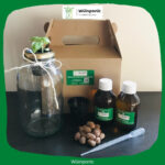 Kit Envase Kratky con Nutrientes