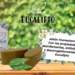 Jabon Sana Eucalipto
